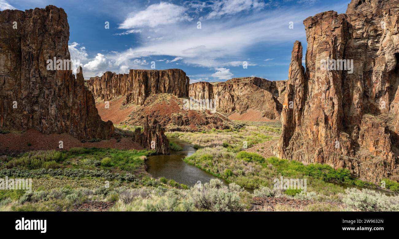 Belle scène désertique de la rivière Owyhee Canyon au printemps Banque D'Images