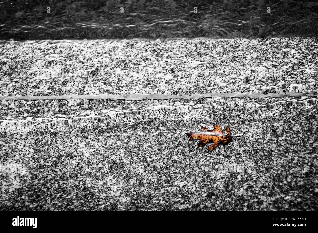 La feuille de chêne flotte dans l'eau peu profonde sur une marche de granit. Banque D'Images