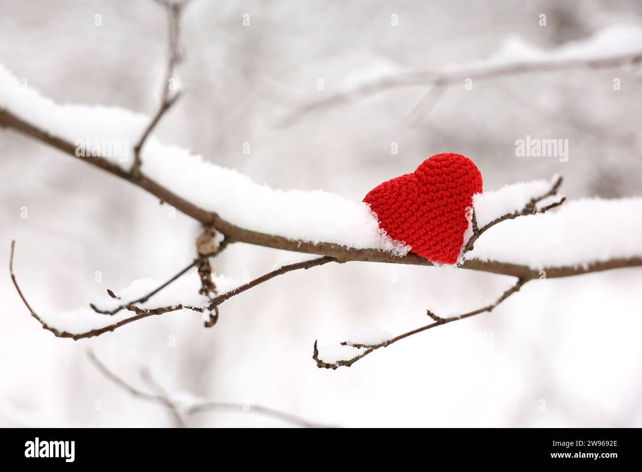 Coeur de Valentines sur branche d'arbre couverte de neige en forêt d'hiver. Tricoté rouge symbole de l'amour, concept de la fête du nouvel an ou de la Saint Valentin Banque D'Images