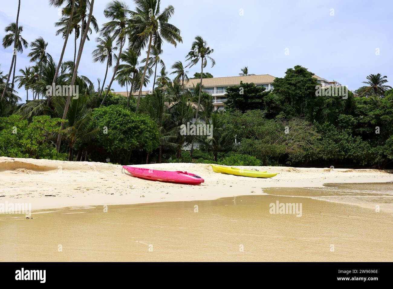 Cocotiers et canoës sur la plage de sable tropical. Station balnéaire, fond pittoresque pour les vacances et les voyages Banque D'Images