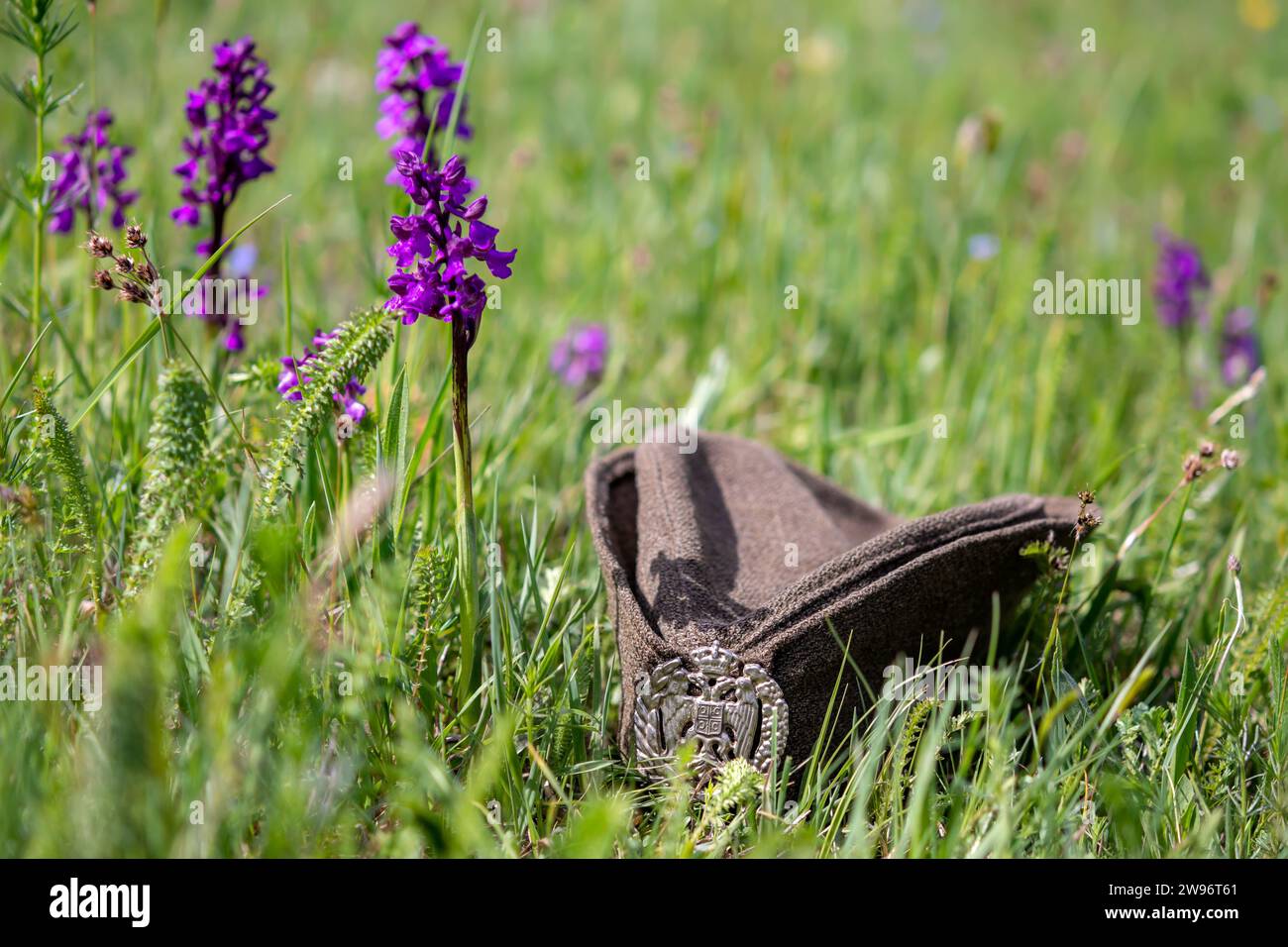 Casquette ethnique militaire traditionnelle avec armoiries serbes sur une prairie par une journée ensoleillée. Mise au point sélective. Banque D'Images