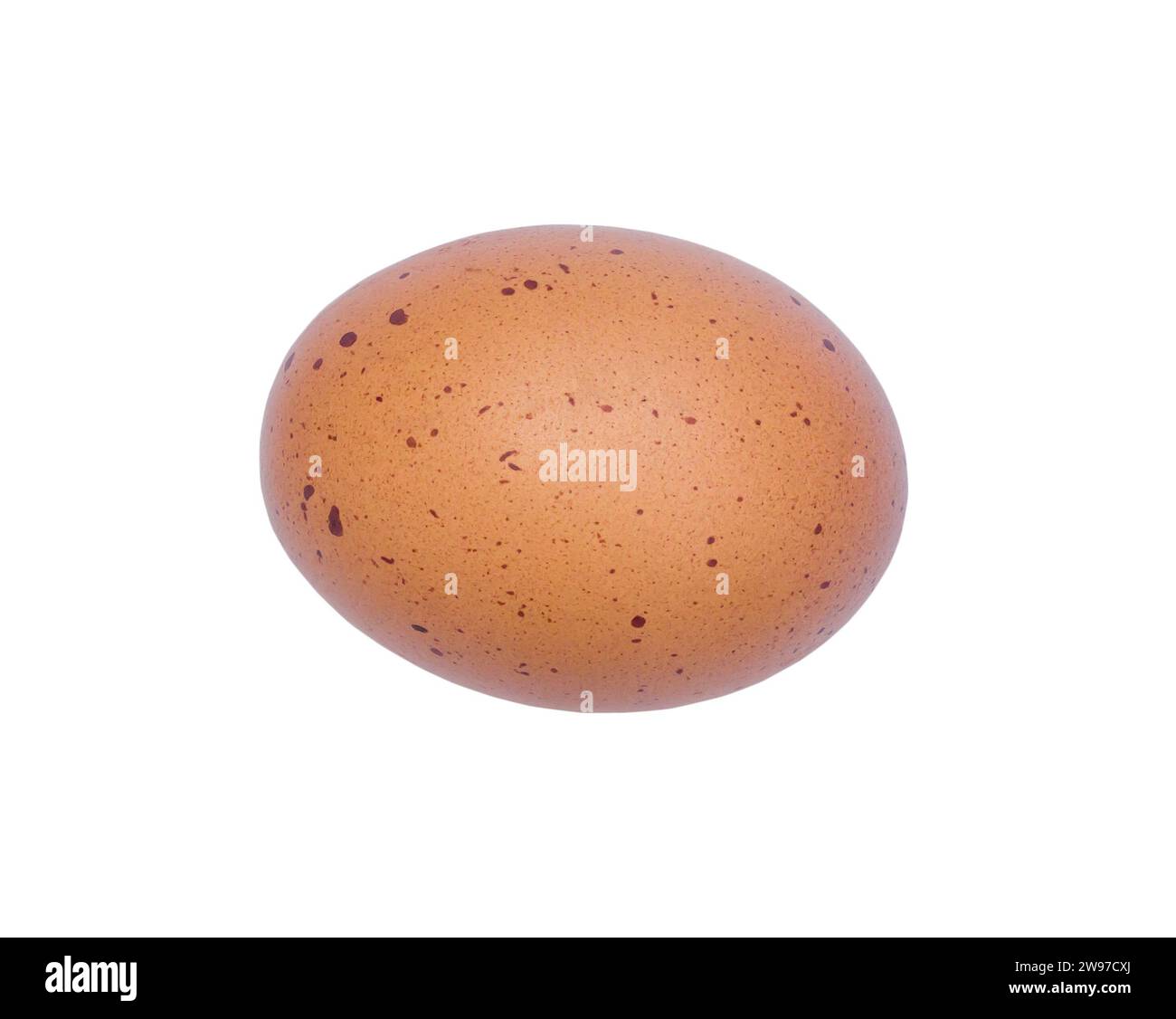 La ponte à plat d'un seul œuf frais biologique avec des taches est isolée sur fond blanc avec un chemin de détourage. Concept d'alimentation saine, photo de gros plan Banque D'Images