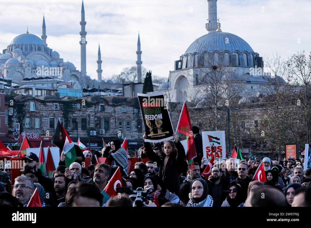 Istanbul, Turquie. 24 décembre 2023. Une foule nombreuse de manifestants a été vue portant des banderoles et des drapeaux palestiniens et turcs lors d ' une marche de protestation contre les attaques israéliennes contre la Palestine. La Fondation IHH a organisé une grande manifestation sur la place Eminonu à Istanbul, pour protester contre les attaques israéliennes contre Gaza. (Photo Shady Alassar/SOPA Images/Sipa USA) crédit : SIPA USA/Alamy Live News Banque D'Images