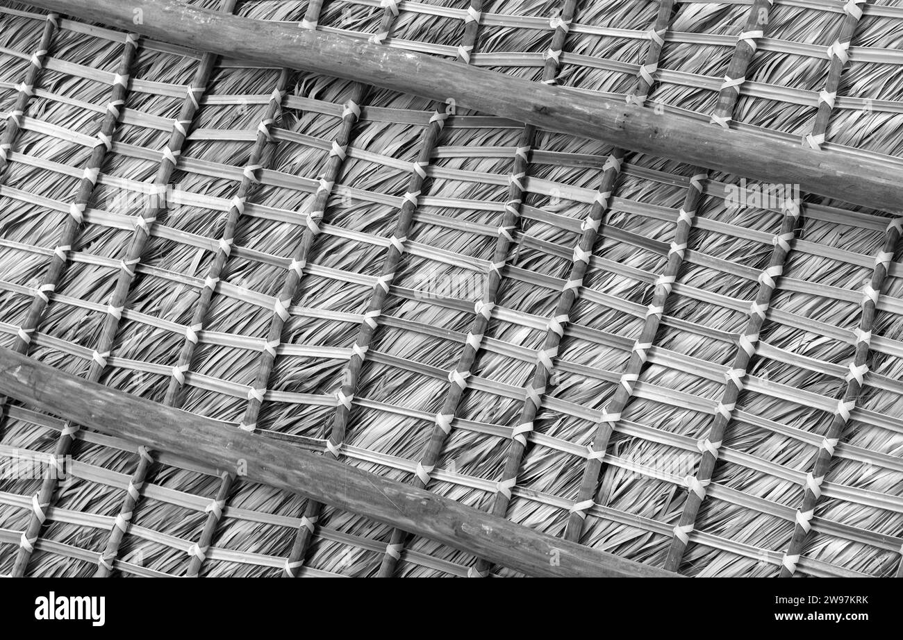 Détails internes du toit de palmier, cadre de poutres et de feuilles de palmier, noir et blanc Banque D'Images