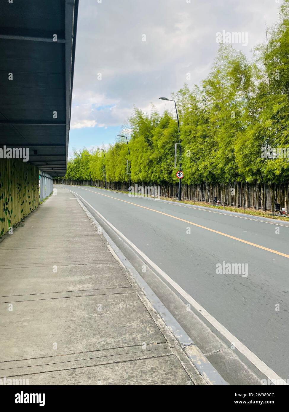 Une route vide bordée d'arbres verts Banque D'Images