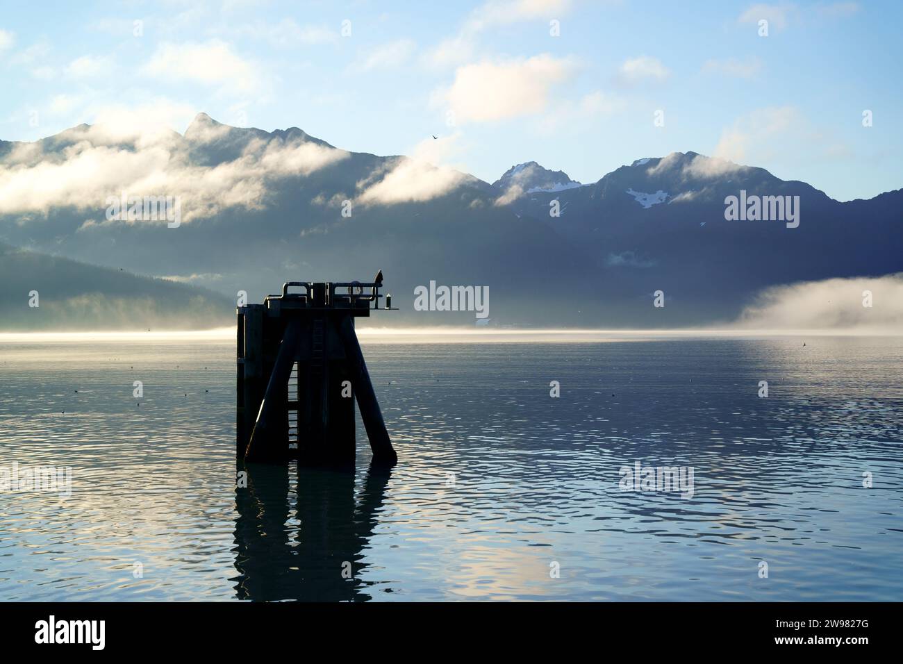 Le vaste océan Pacifique à Resurrection Bay dans le parc national du fjord de Kenai à Seward, Alaska Banque D'Images