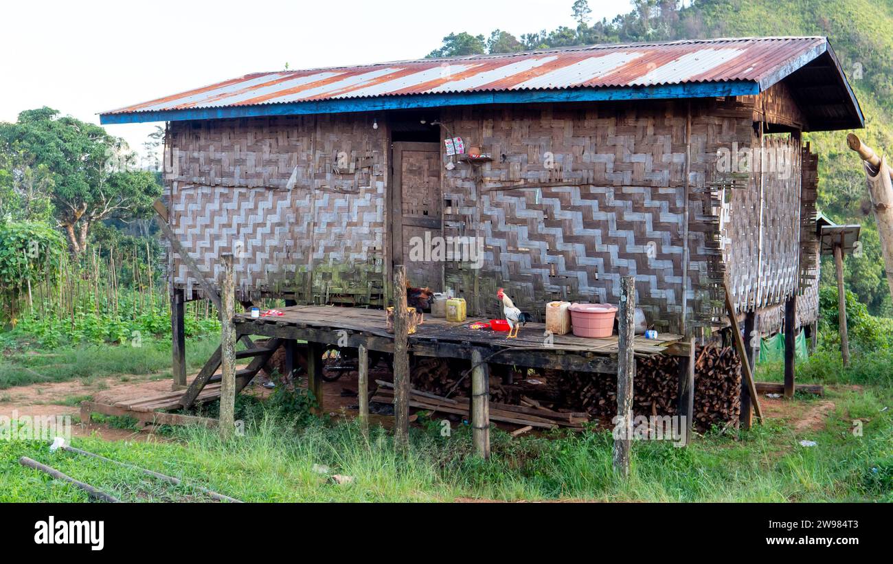 Une maison de village faite de bambou et de feuilles de palmier entrelacées dans une zone rurale du Myanmar Banque D'Images