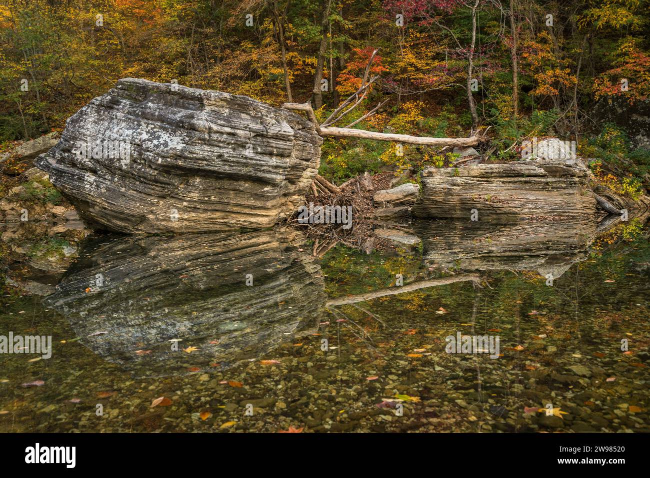 Roches et bois flotté avec couleur d'automne sur la rivière Buffalo Banque D'Images