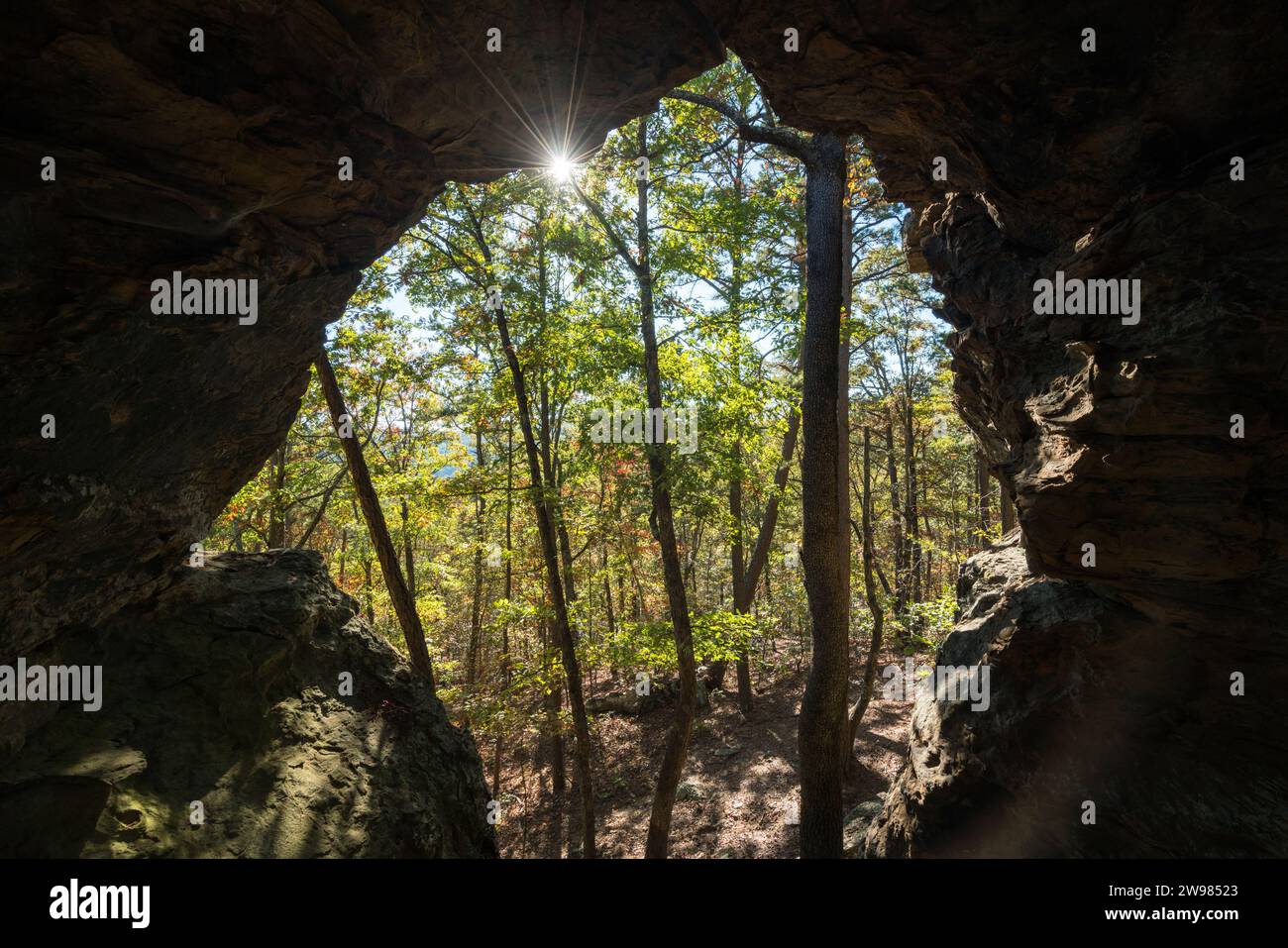 Vue depuis une grotte et le soleil qui brille à travers la forêt Banque D'Images