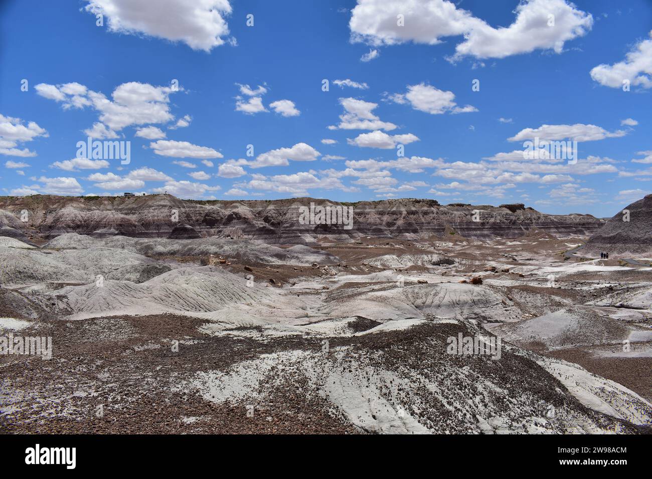 Vue sur le paysage coloré de mesa bleu et violet dans le parc national Petrified Forest Banque D'Images