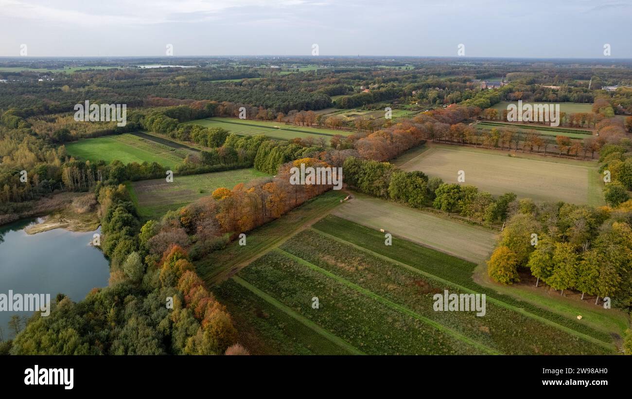 L'image présente une vue aérienne expansive d'un paysage de campagne pastoral au début de l'automne. Un petit plan d'eau est visible vers le bas à gauche, reflétant le ciel. Les champs montrent différents stades de culture et de jachère, bordés par des lignes d'arbres présentant les couleurs changeantes de la saison. Au loin, le paysage se confond dans une zone boisée plus dense, et l'horizon montre des indices de développement rural. Vue aérienne du paysage de campagne avec champs et masse d'eau. Photo de haute qualité Banque D'Images