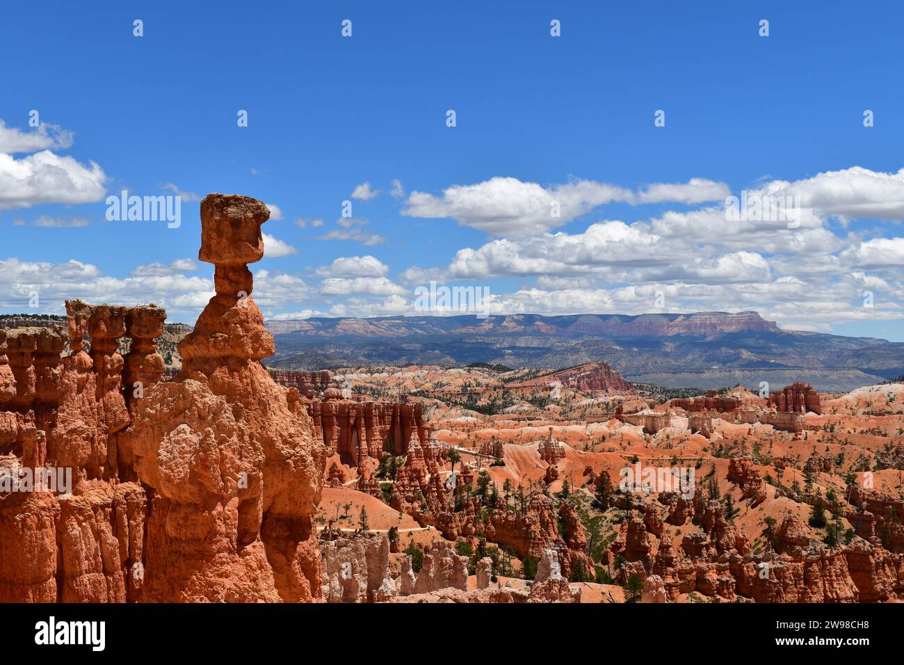 Vue sur la formation rocheuse de Thor's Hammer dans le parc national de Bryce Canyon Banque D'Images