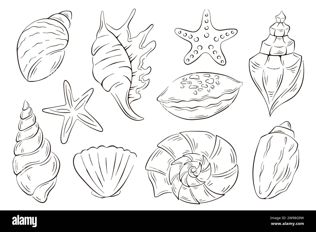 Coquillages sous-marins décorés dans un style d'art en ligne. Conception d'été pour restaurant de poisson, paquet, logo, icône, menu. Illustration vectorielle isolée sur un blanc Illustration de Vecteur