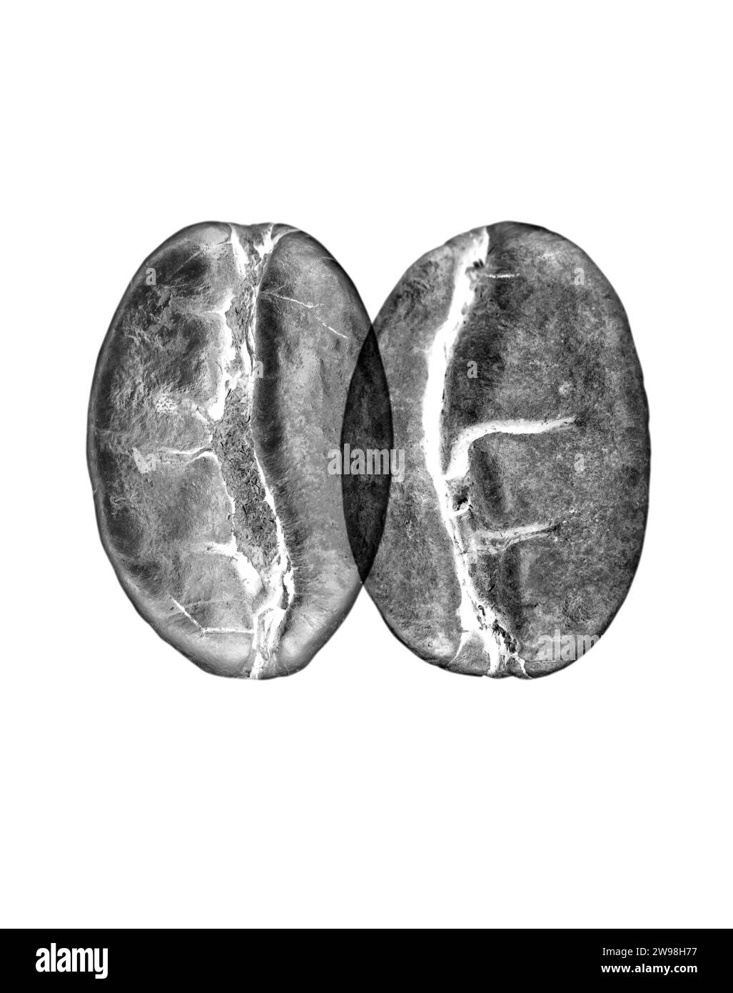 L'effet de rayons X a été appliqué aux grains de café qui étaient de couleurs inversées Banque D'Images