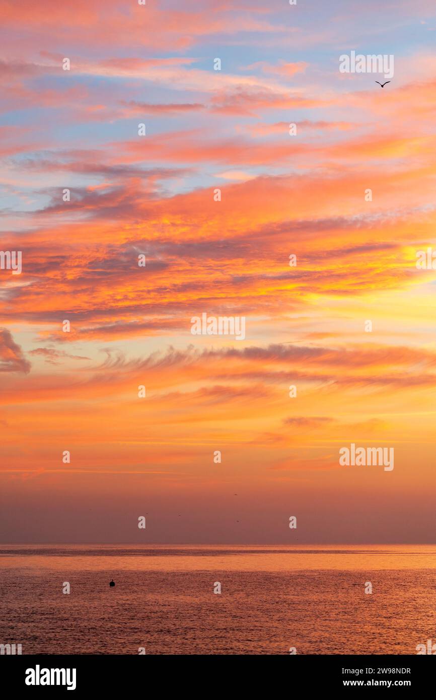 Divers types de formations nuageuses au-dessus de la mer, toutes colorées en orange du soleil levant (invisible) avec une seule mouette volant haut au-dessus de la tête Banque D'Images