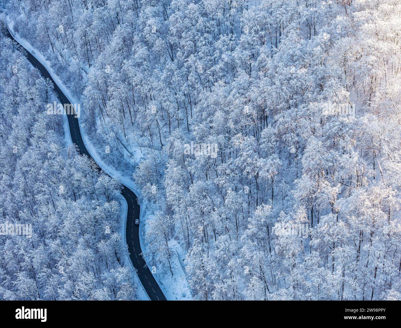 Route de campagne sinueuse près de Gutenberg sur l'Alb souabe en hiver, il y a de la neige dans la forêt, photo drone, Lenningen, Baden-Wuerttemberg, Allemagne Banque D'Images