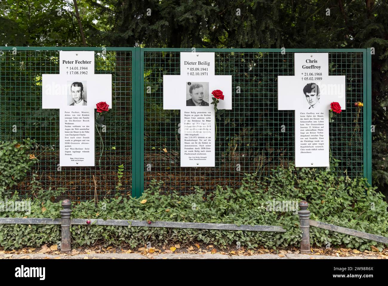 Croix blanches, mémorial pour les victimes du mur après les tentatives d'évasion de la RDA, Tiergarten Berlin, Allemagne Banque D'Images