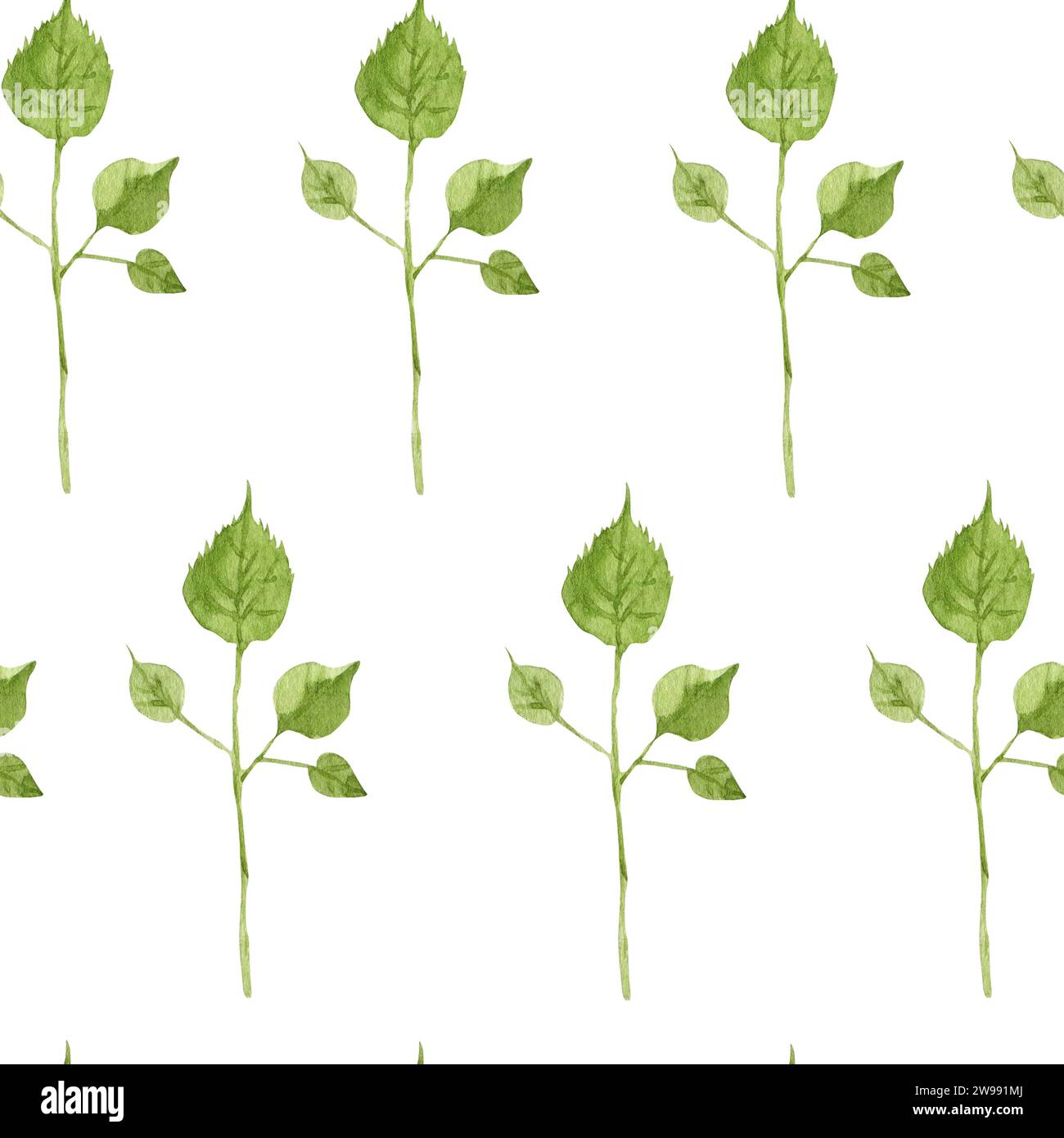 Motif aquarelle avec des brindilles, impression botanique simple de branche décorative. Illustration botanique dessinée à la main sur fond blanc pour textile, wallpap Banque D'Images