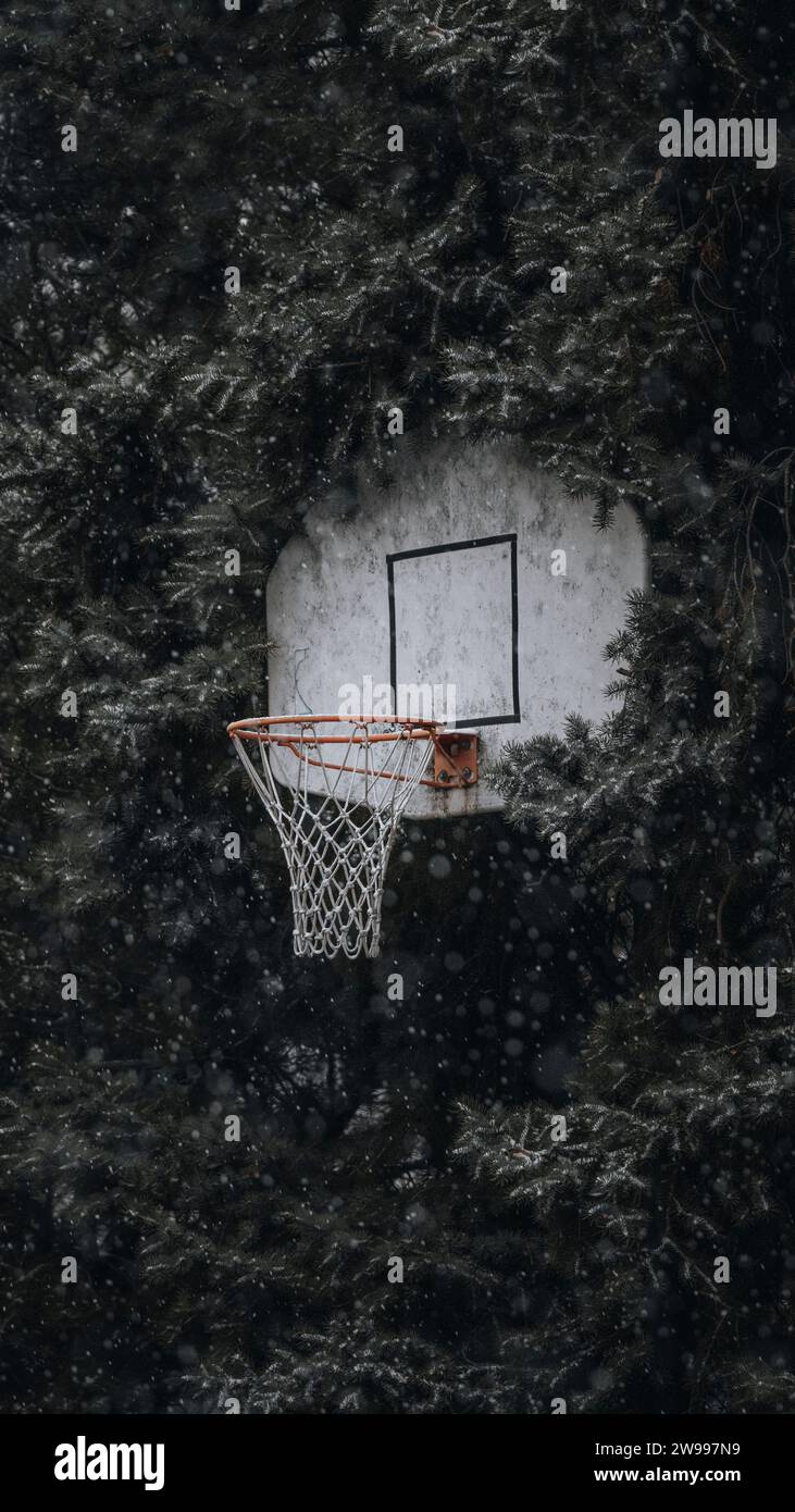 Un panier de basket-ball debout dans un paysage hivernal, avec des flocons de neige tombant et une forêt enneigée en arrière-plan Banque D'Images