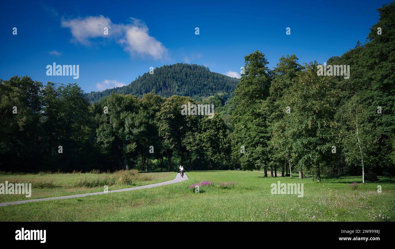 Une prairie verdoyante entourée d'herbe verte luxuriante et d'un ciel bleu clair à Bad Wildbad, en Allemagne. Banque D'Images