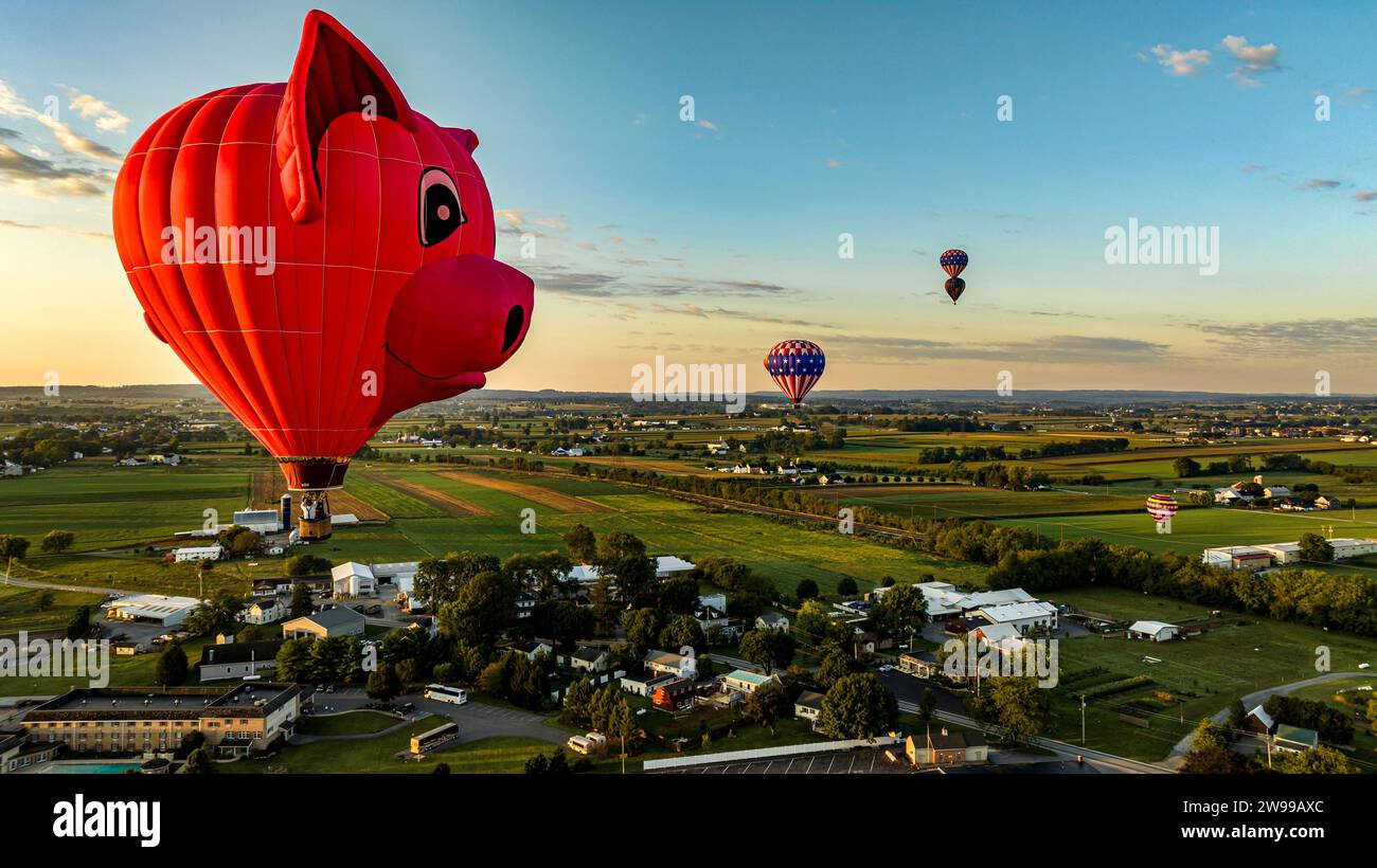 Une vue aérienne de ballons à air chaud flottant un est une tête de cochon, dans la Pennsylvanie rurale allant au-dessus de Corn Fields, au lever du soleil sur un matin ensoleillé Banque D'Images