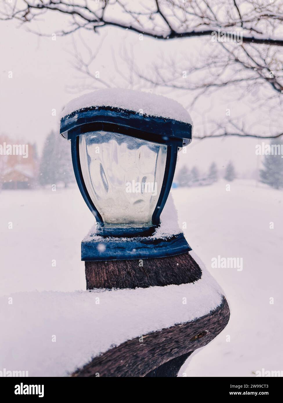 Voir la scène de lampadaire extérieur déformé courbé avec clôture en bois et neige. L'arrière-plan montre le flou de neige blizzard avec paysage de pins. Formes et texture. Banque D'Images