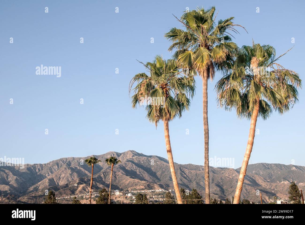 Verdugo Mountains, Burbank, Californie Banque D'Images