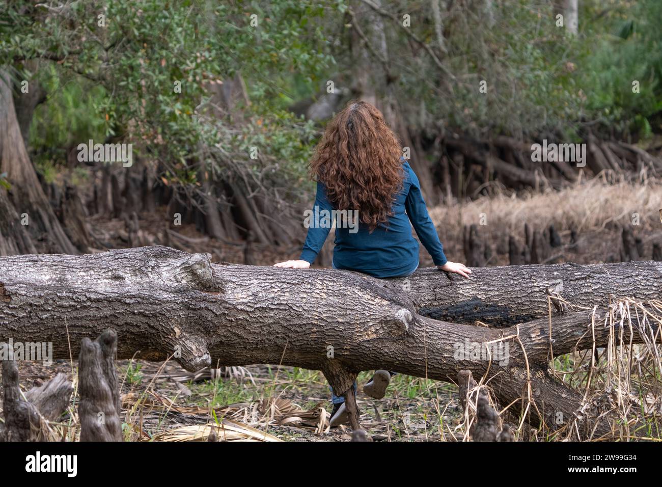 Une jeune femme est assise au sommet d'un grand tronc d'arbre dans une prairie luxuriante Banque D'Images