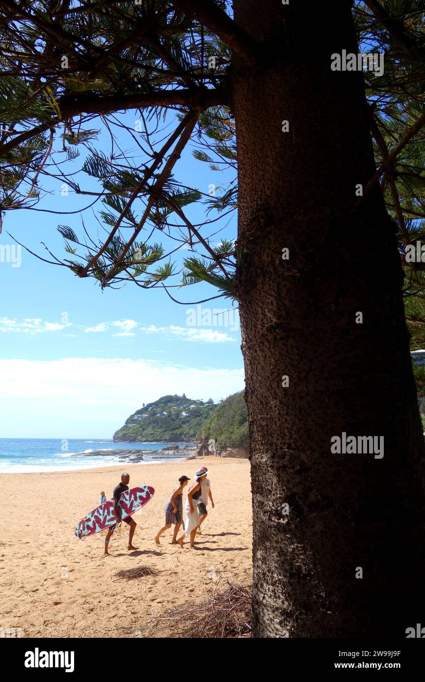 Bonjour à Whale Beach, plages du nord, Sydney, Nouvelle-Galles du Sud, Australie. Pas de MR ou PR Banque D'Images