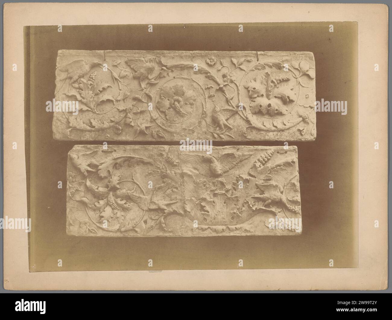 Deux reliefs avec des motifs végétaux et des oiseaux, c. 1875 - c. 1900 photographie carton. support photographique albumen print sculpture (+ relief  sculpture). ornement dérivé de formes végétales. Fleurs  ornement - AA - stylisé. oiseaux ornementaux Banque D'Images