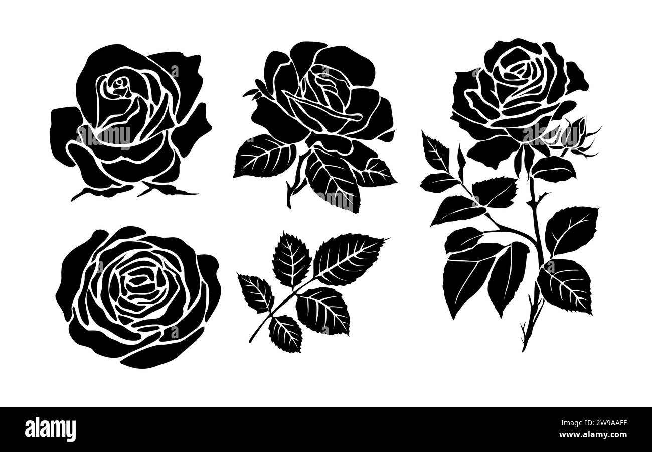 Silhouettes noires de vecteur de rose en fleur fraîche. Illustration de Vecteur