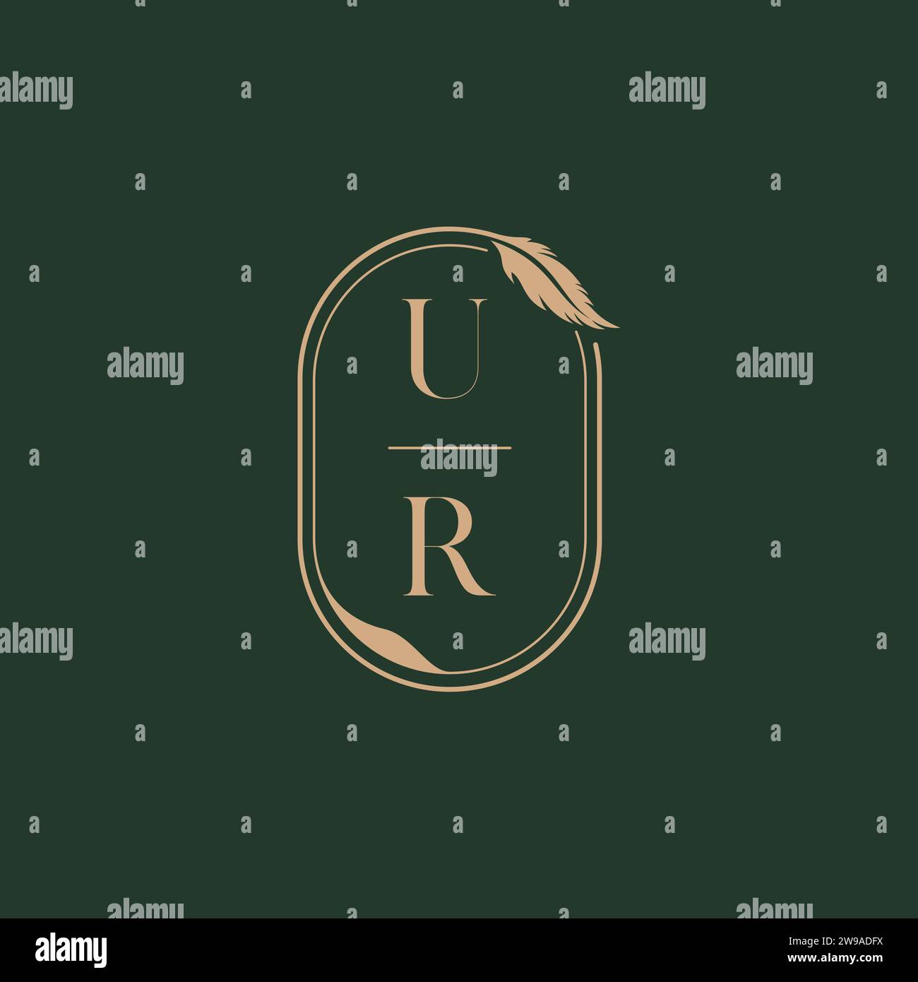 UR Feather concept mariage monogramme idées de conception comme inspiration Illustration de Vecteur