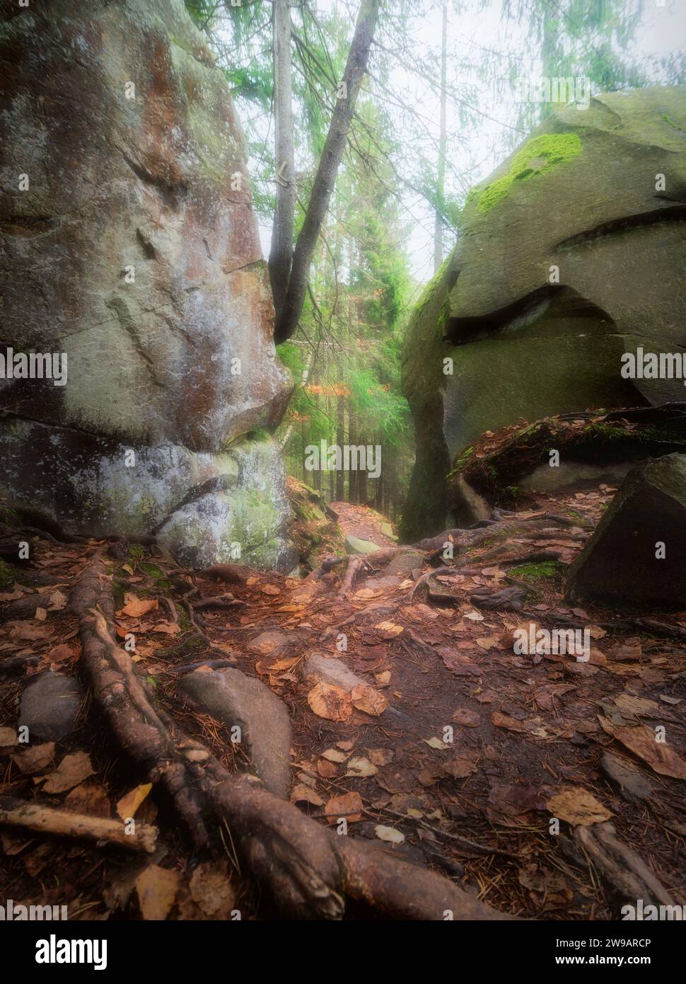 Beau paysage avec chemin entre deux grandes pierres au milieu d'une forêt d'automne brumeuse. Voyage fourmi tourisme. Banque D'Images