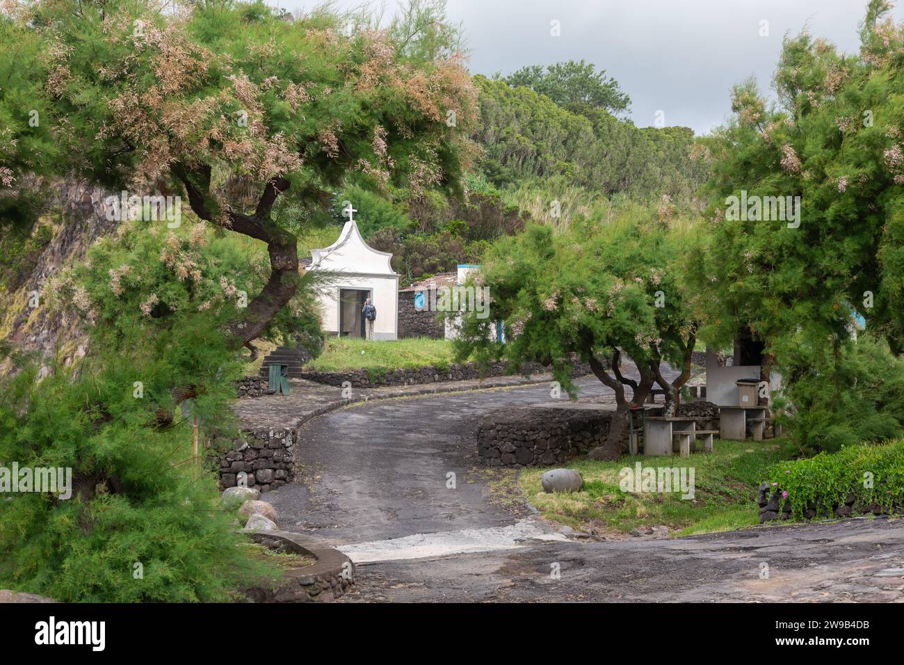 Paysage de terrain de camping à Riberinha, île de Faial, Açores Banque D'Images