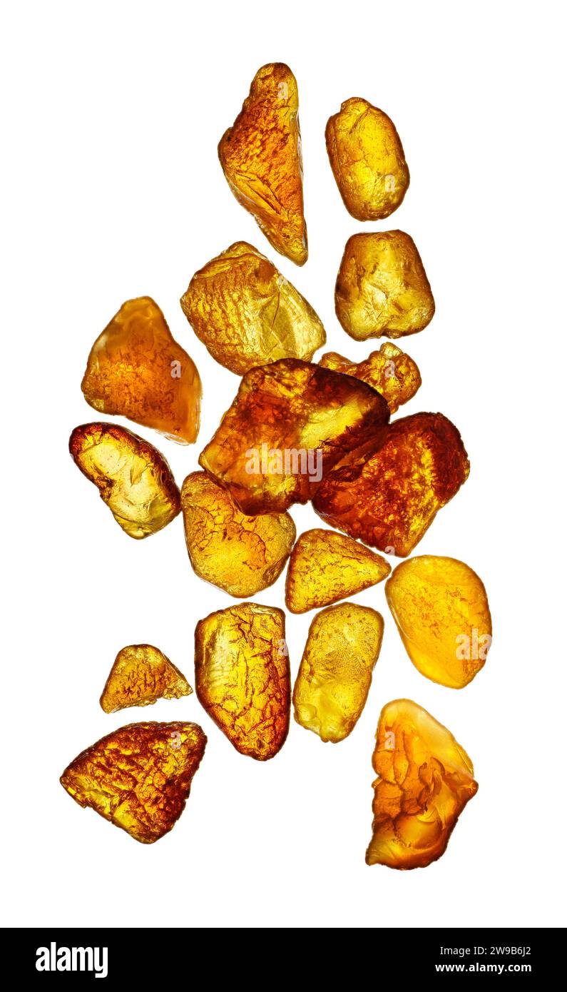 Groupe aléatoire de galets d'ambre jaune minéral naturel, isolé sur fond blanc Banque D'Images