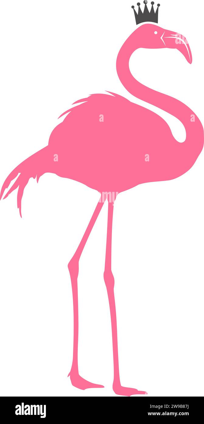 Flamingo avec fond transparent Illustration de Vecteur