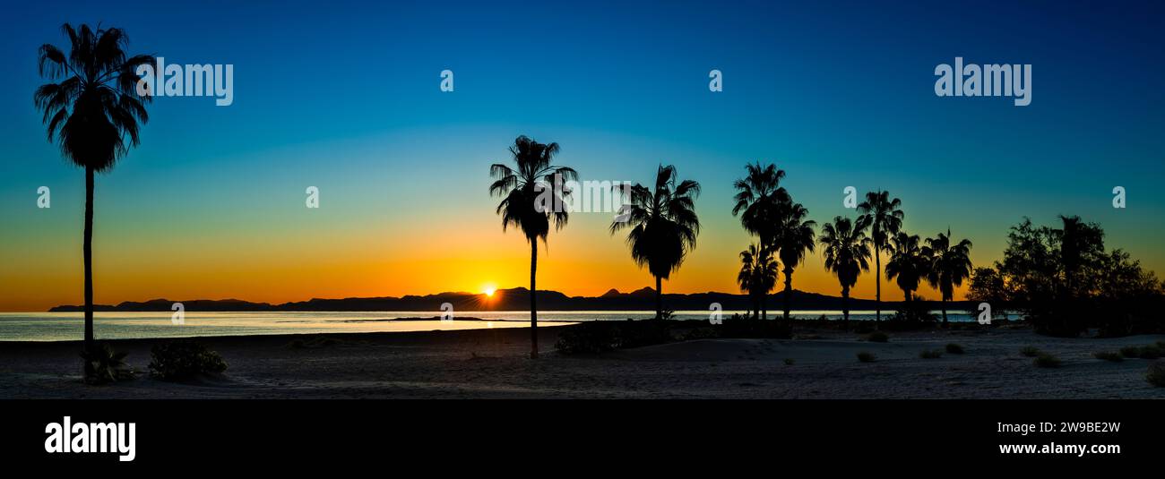 Paysage avec des palmiers silhouettés sur la plage au coucher du soleil, Loreto, Baja California sur, Mexique Banque D'Images