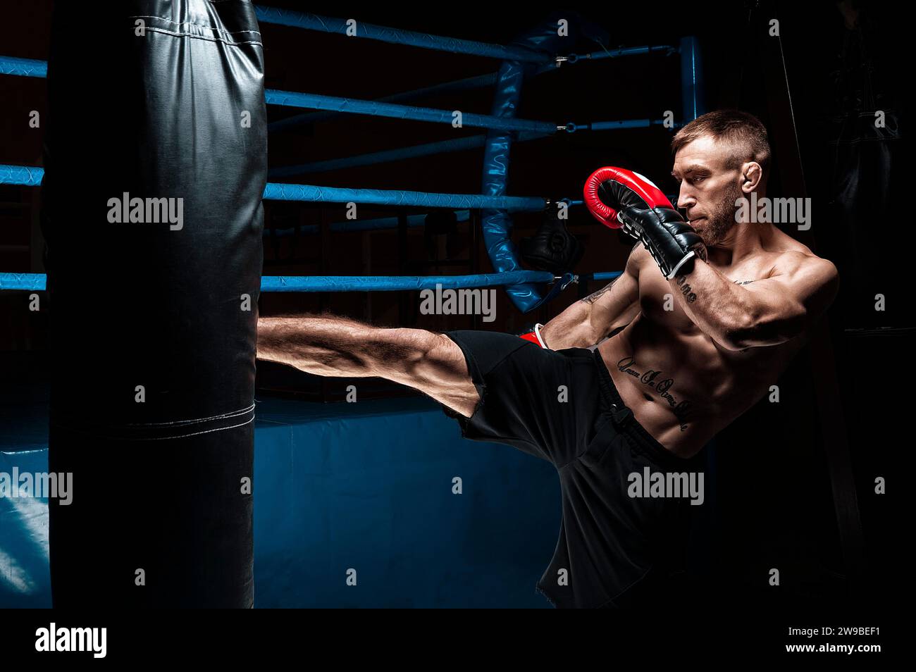 Kickboxer donne un coup de pied au sac. Entraînement d'un athlète professionnel. Le concept de mma, lutte, muay thai. Supports mixtes Banque D'Images