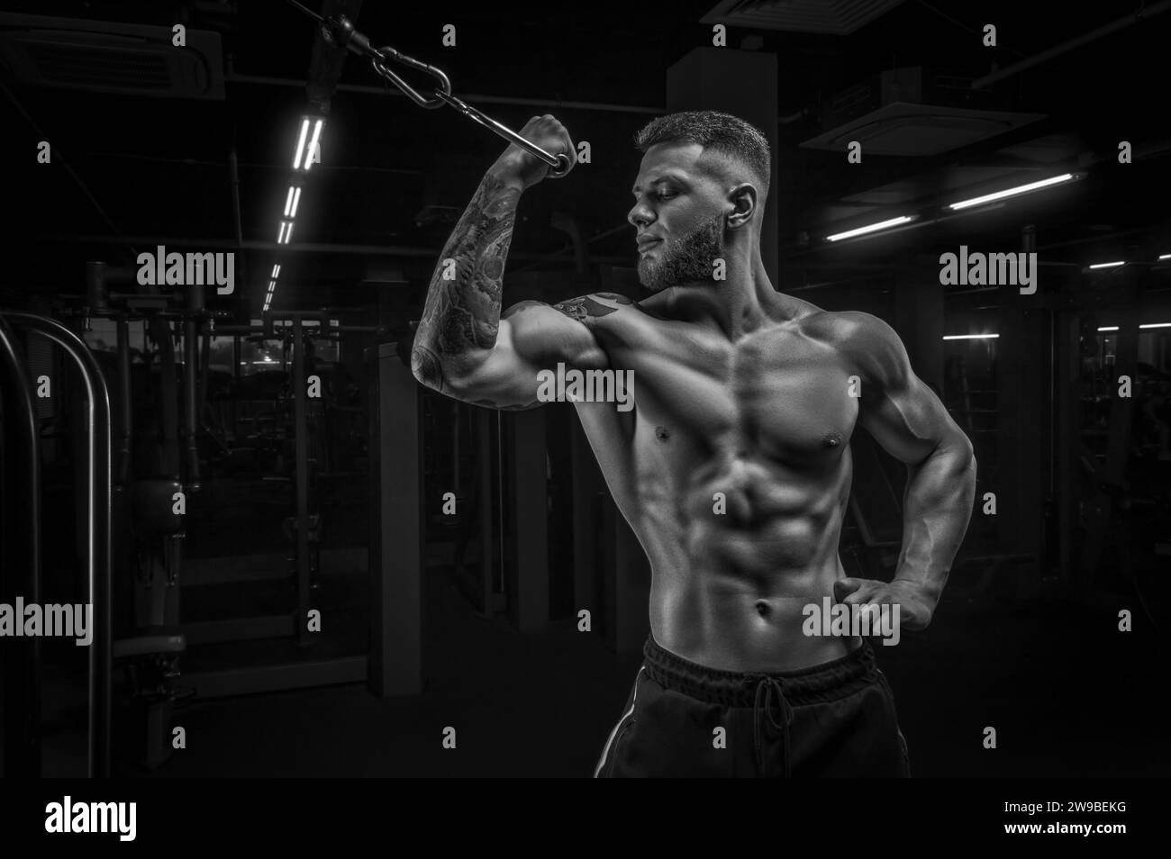 Portrait d'un athlète pompant des biceps dans un crossover. Culturisme et concept de fitness. Supports mixtes Banque D'Images