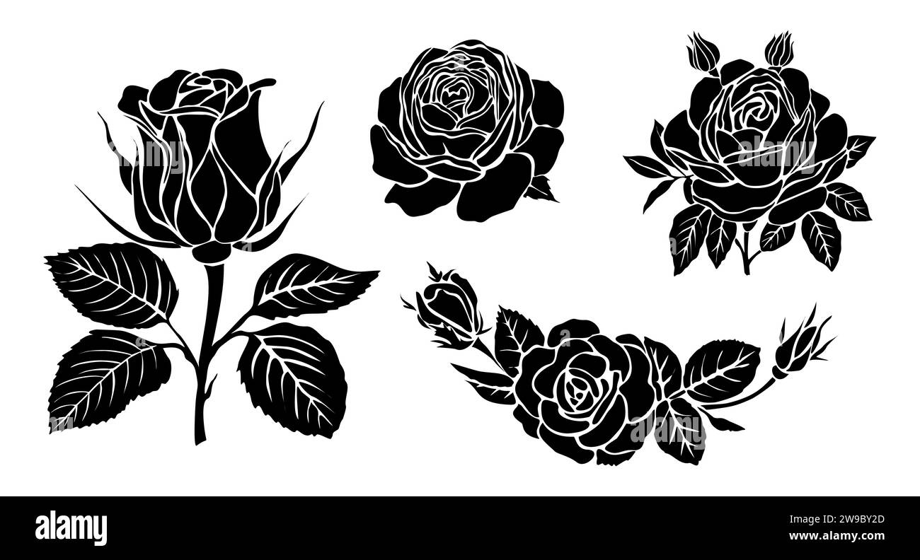 Silhouettes noires de vecteur de rose en fleur fraîche. Illustration de Vecteur