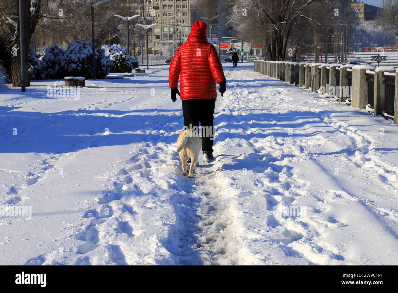 Un homme et un chien marchent le long de la rue hivernale enneigée dans des vestes chaudes. Sports d'hiver et loisirs Banque D'Images
