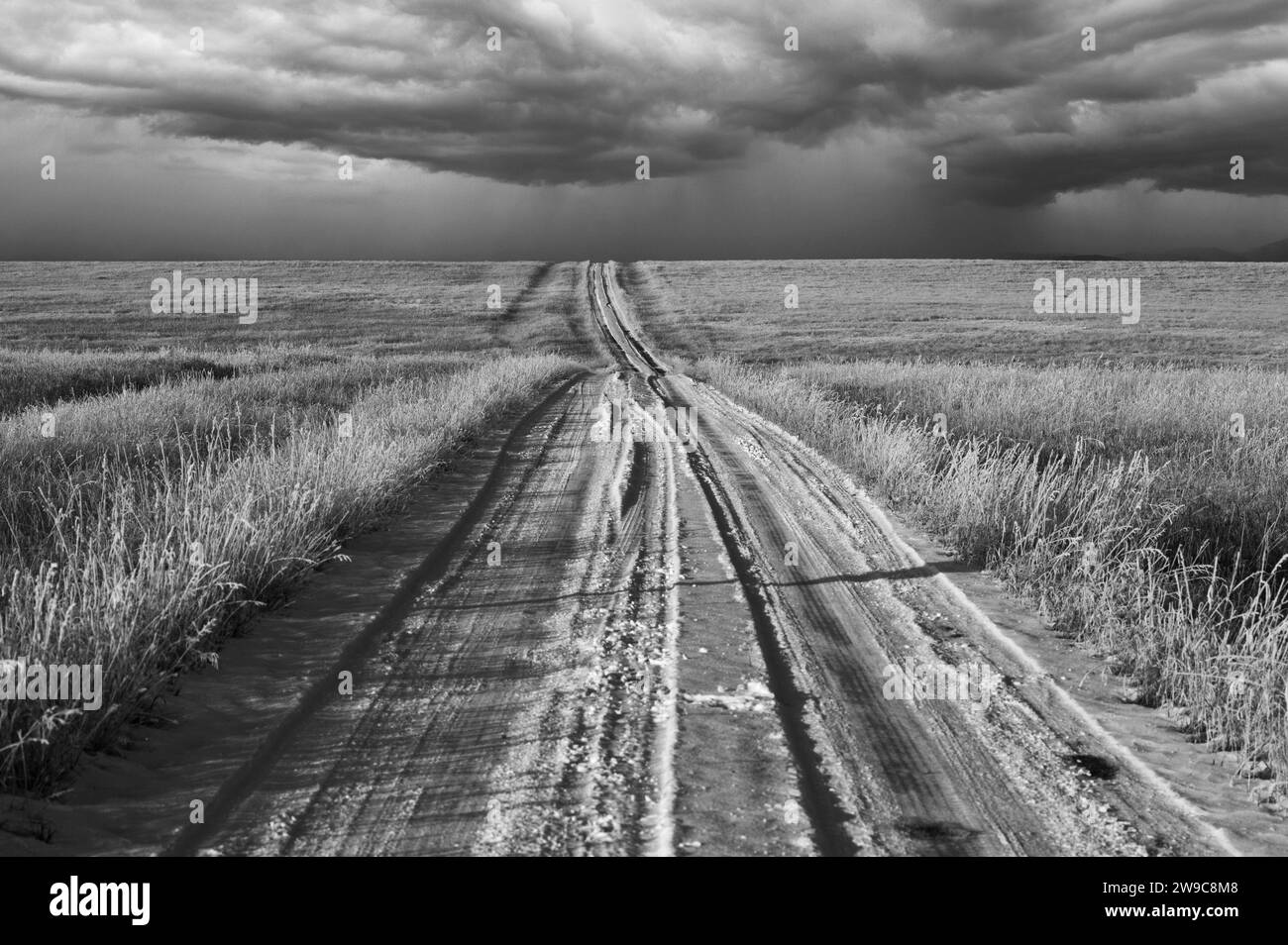 Une photographie en noir et blanc d'un chemin de terre couvert de neige à travers un champ vide avec des nuages d'orage se préparant à l'horizon Banque D'Images