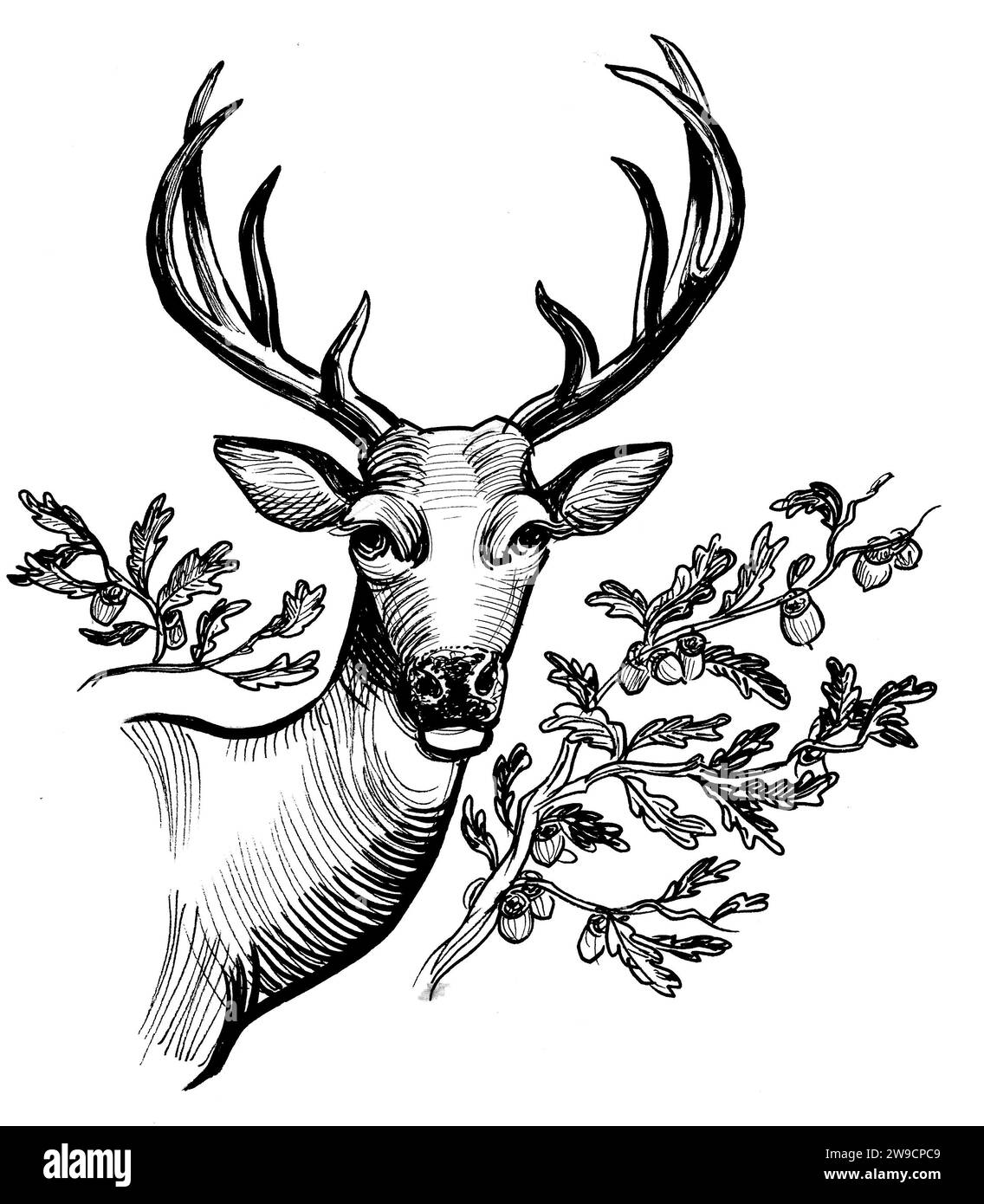 Tête de cerf. Dessin noir et blanc à l'encre Banque D'Images