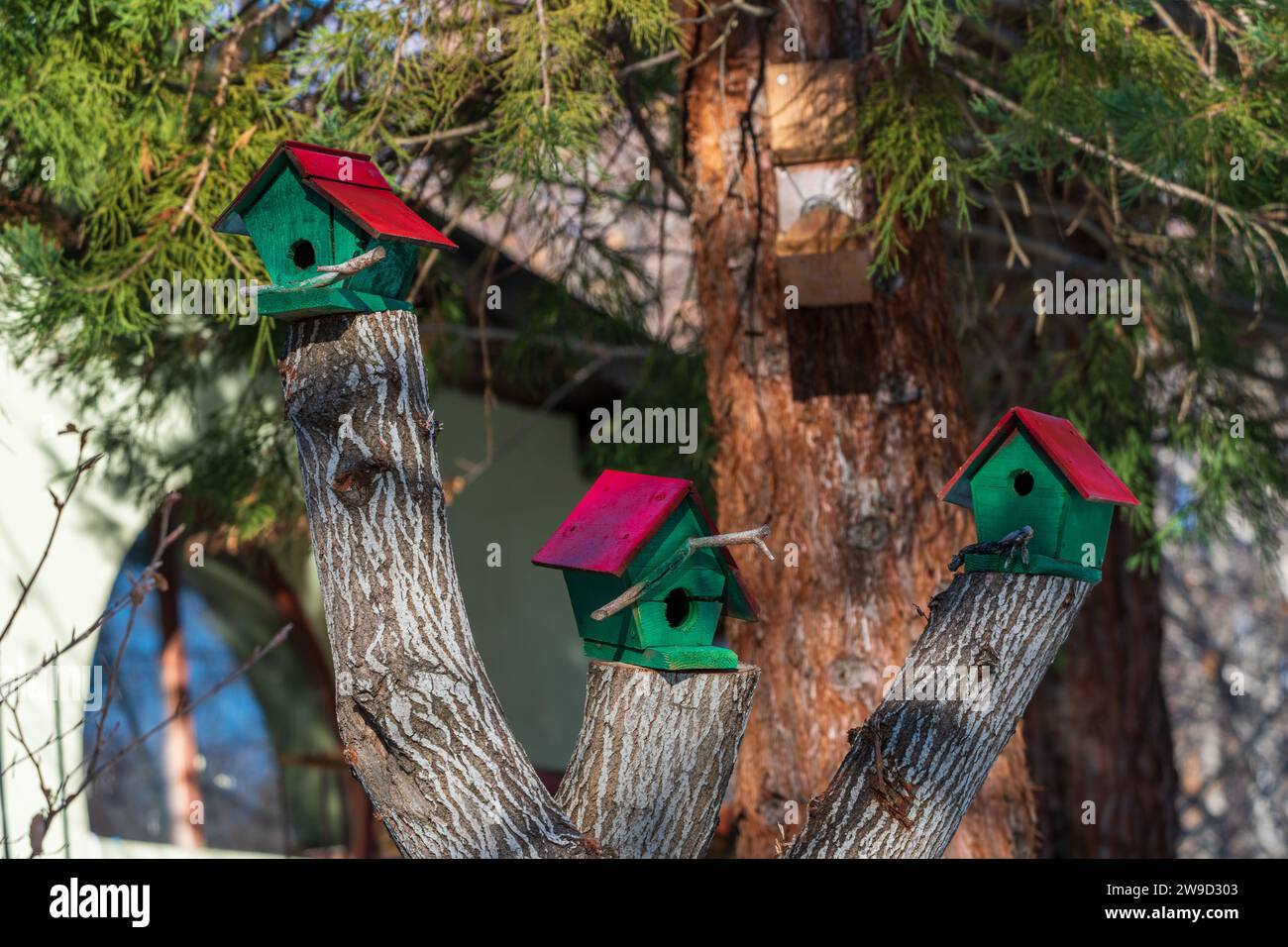 Trois mini maisons à oiseaux. Fait à la main. Toits rouges et planches de bois vertes. Dans la forêt. Lumière et ombre. Journée ensoleillée. Banque D'Images