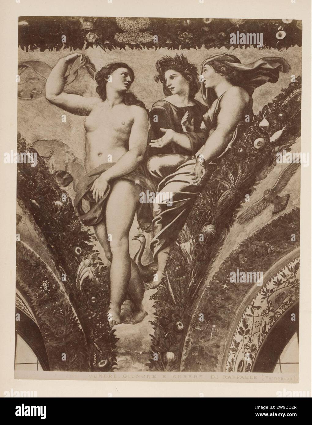 Production photographique de Fresco Vénus, Cérès et Juno par Rafaël dans la Farnesina à Rome, Domenico Anderson (attribué à), d'après Rafaël, c. 1870 - c. 1890 photographie cette photo fait partie d'un album. Farnesina Villa papier albumen imprimer image, peinture Farnesina Villa Banque D'Images