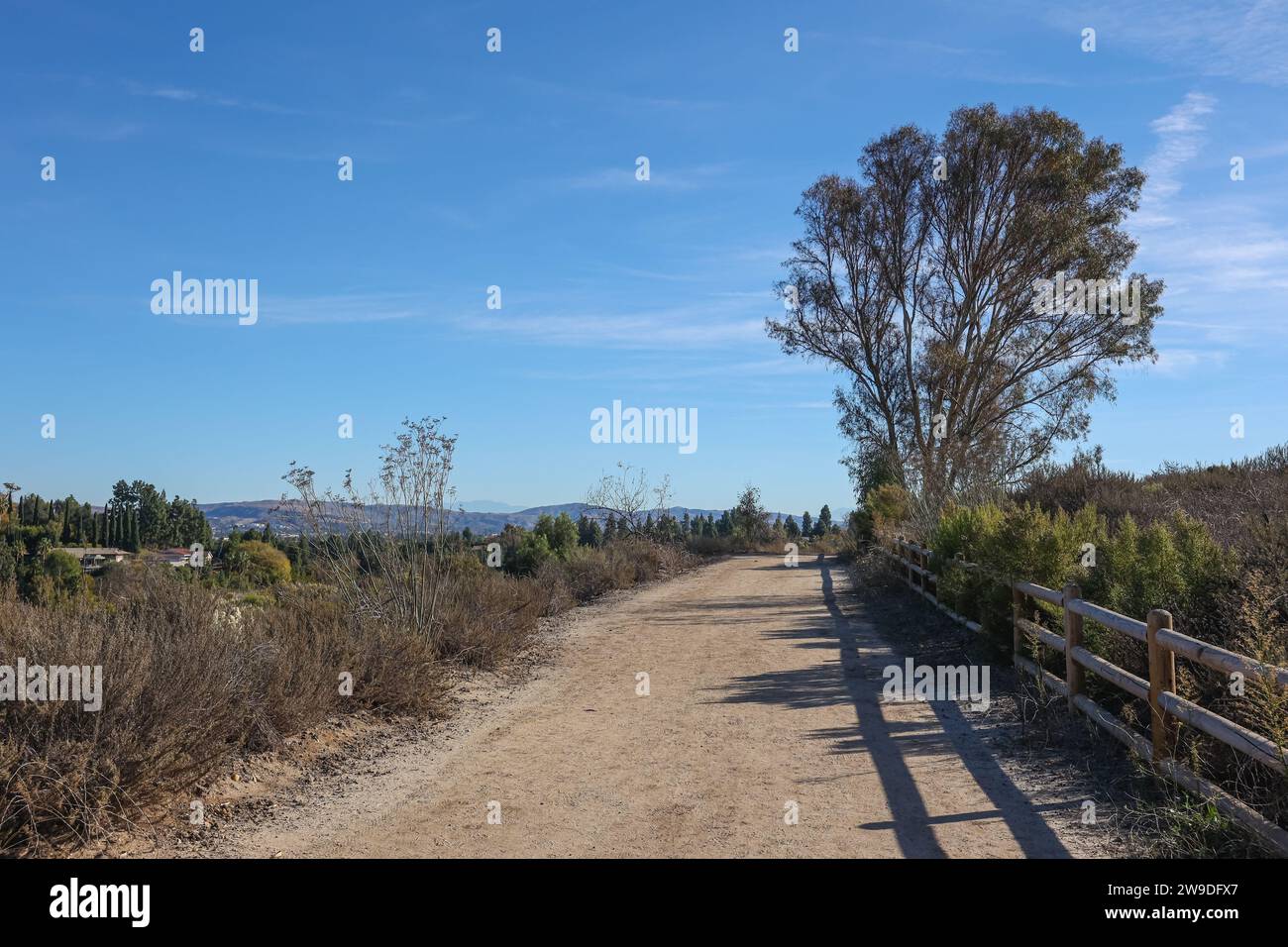 Un sentier de randonnée à travers la partie de l'espace public West Coyote Hills de la réserve naturelle Robert Ward dans le comté d'Orange, en Californie Banque D'Images