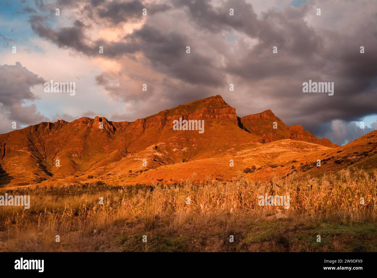 Montagne rouge ensoleillée au coucher du soleil sous un ciel orageux au Lesotho Banque D'Images