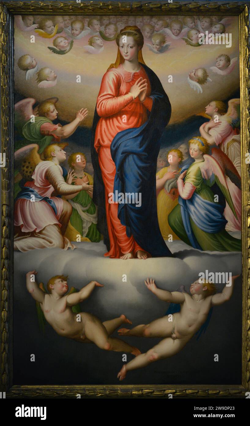 Bernardino Campi (1522-1591) Peintre italien. Assomption de la Vierge, 1568. Huile sur toile. De l'église de San Domenico à Crémone, Italie. Museo Civico Ala Ponzone. Cremona. Italie. Banque D'Images