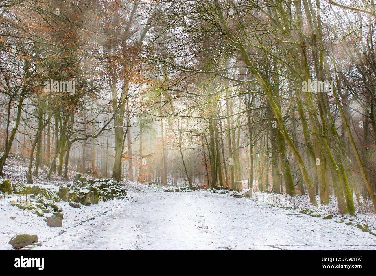 Bergpark Wilhelmshoehe à Kassel en Allemagne, un parc de paysages unique à Kassel en Allemagne Banque D'Images