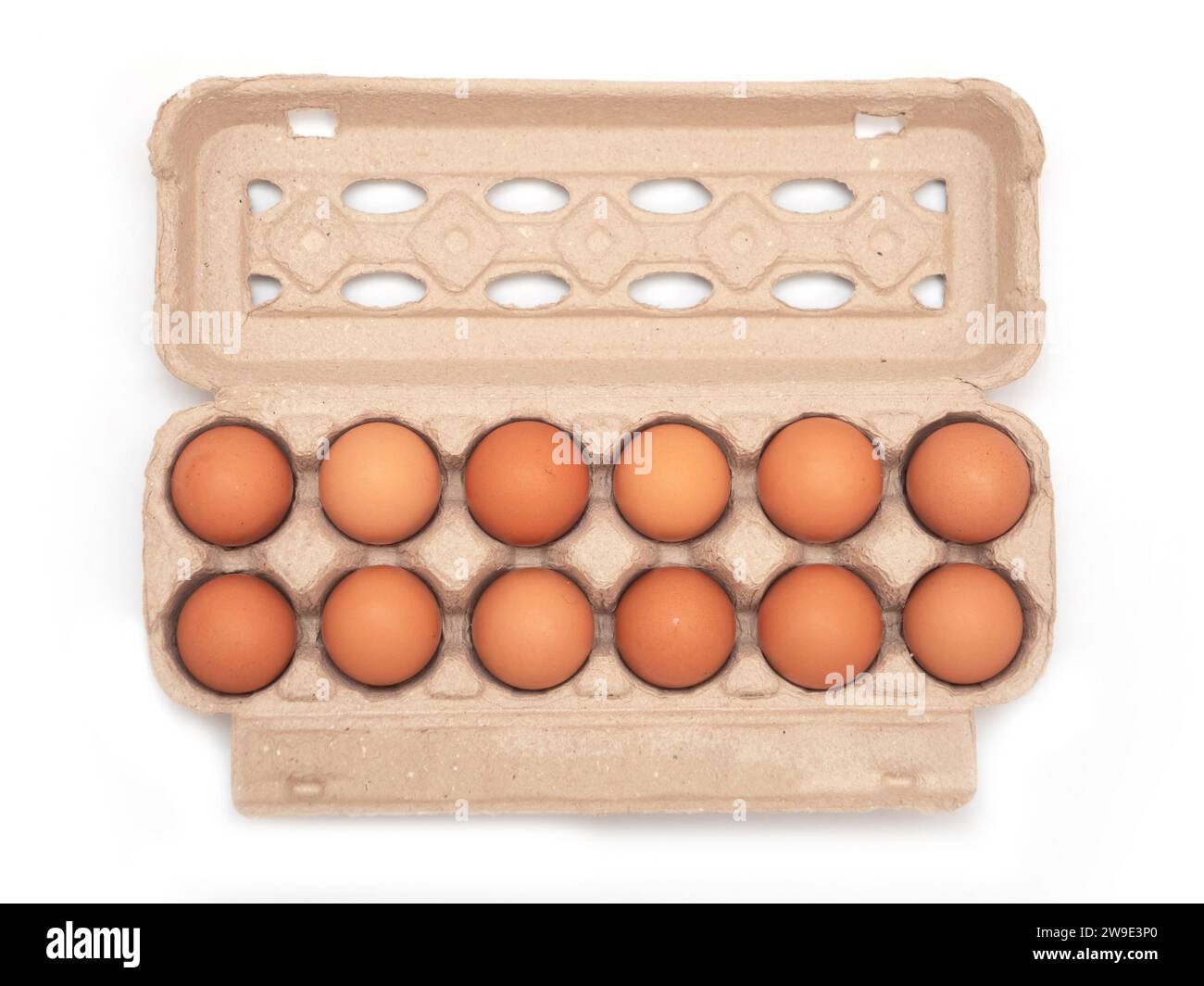 Vue de dessus des oeufs bruns dans le carton d'oeufs sur fond isolé blanc Banque D'Images Vue de dessus des oeufs bruns dans le carton d'oeufs sur fond isolé blanc Banque D'Images